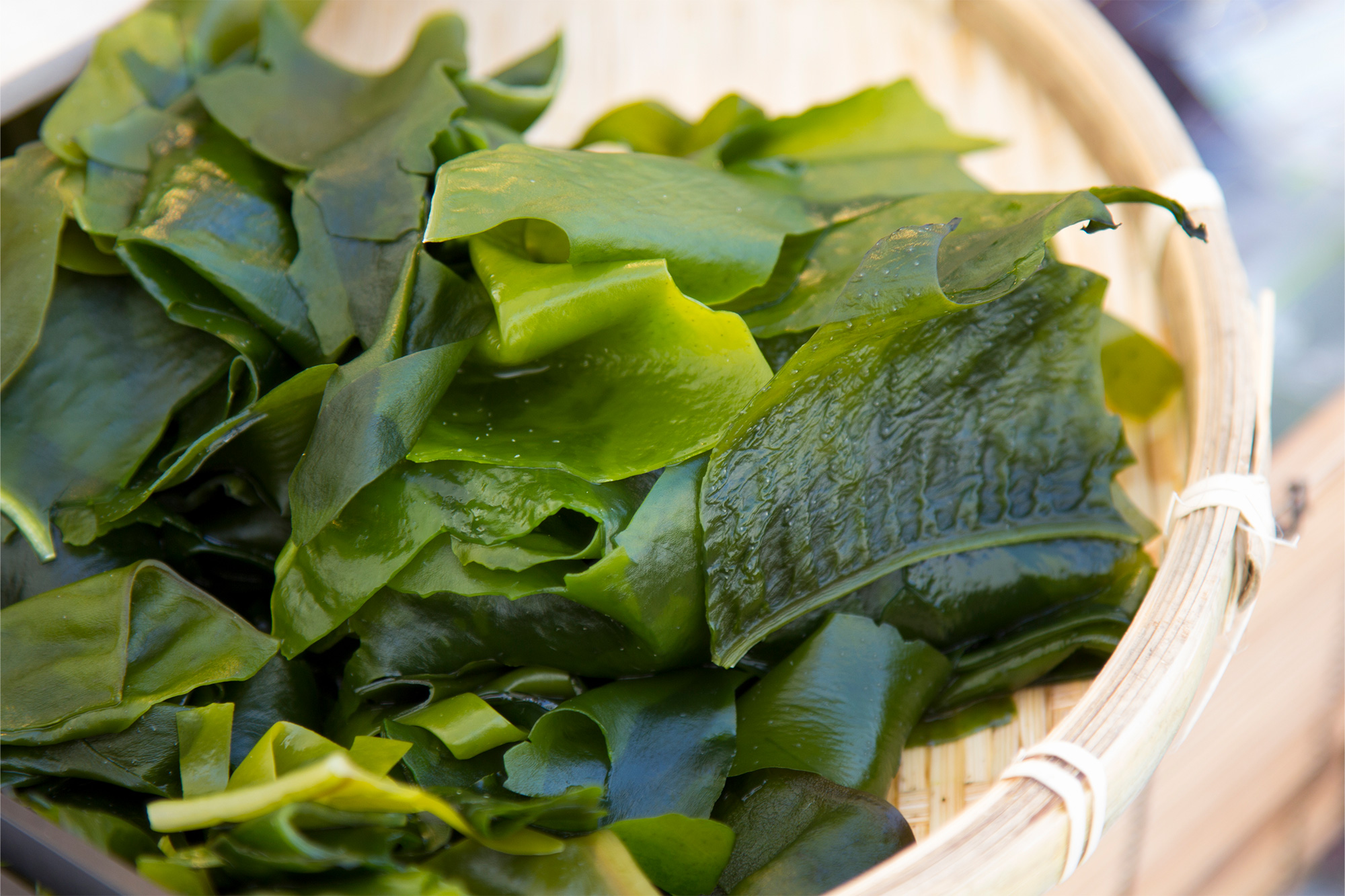 Wakame © iStock - Jonathan Austin Daniels
